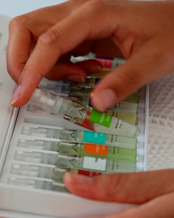 Natural Organic Perfume - Discovery Box Set